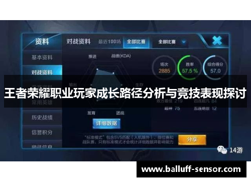 王者荣耀职业玩家成长路径分析与竞技表现探讨